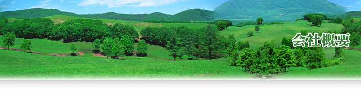 会社概要